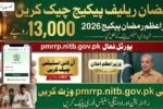 Prime Minister Ramzan Relief Package 2026 Online Check via pmrrp.nitb.gov.pk Portal